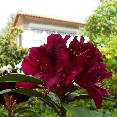 Quinta Do Bento Novo - Casa De Campo - Turismo Rural Viana do Castelo Esterno foto