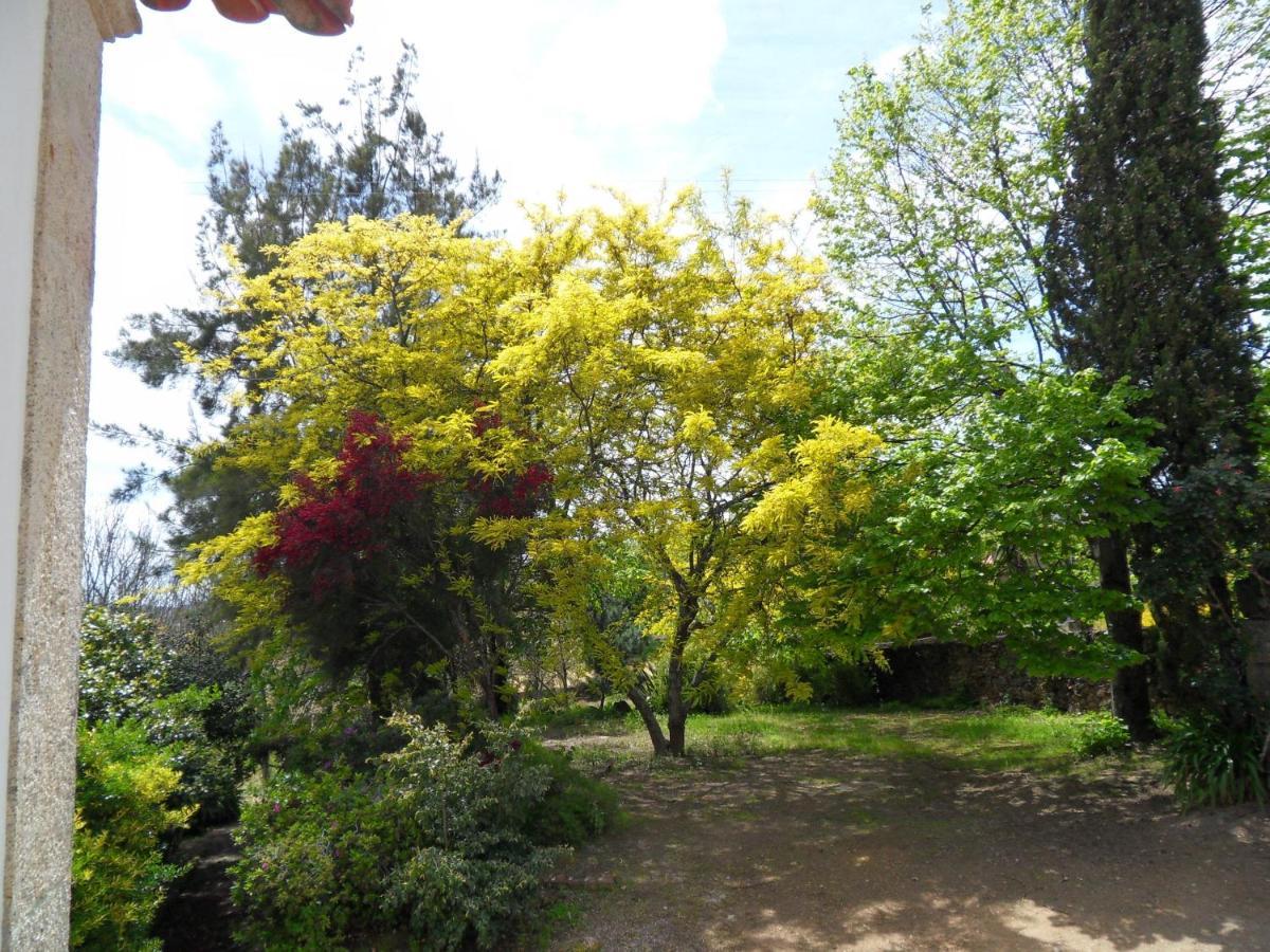 Quinta Do Bento Novo - Casa De Campo - Turismo Rural Viana do Castelo Esterno foto