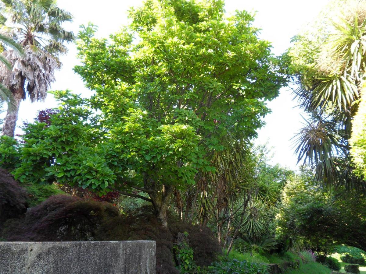 Quinta Do Bento Novo - Casa De Campo - Turismo Rural Viana do Castelo Esterno foto