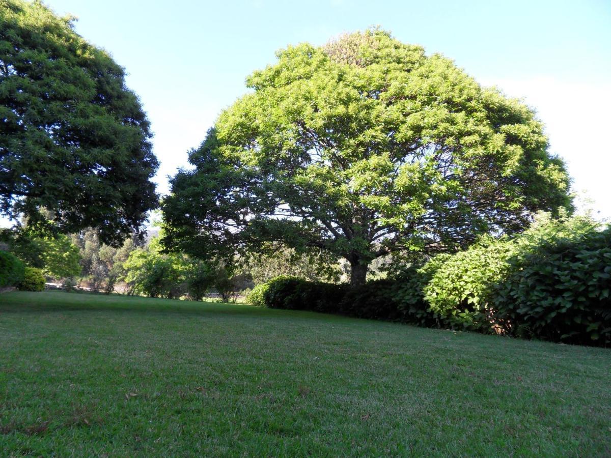 Quinta Do Bento Novo - Casa De Campo - Turismo Rural Viana do Castelo Esterno foto