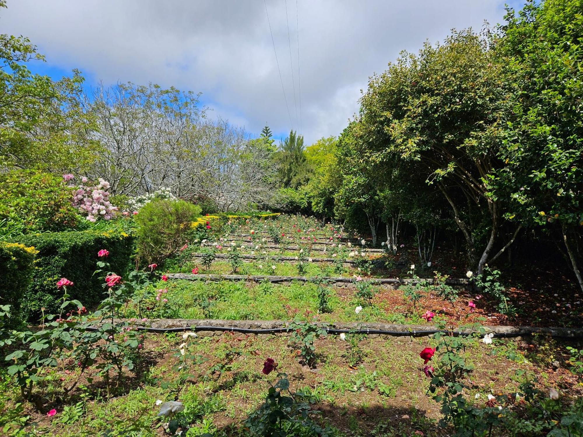 Quinta Do Bento Novo - Casa De Campo - Turismo Rural Viana do Castelo Esterno foto